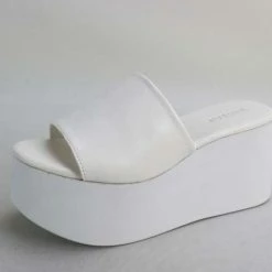 JP WHAT'S NEW CACTUS06 - WHITE