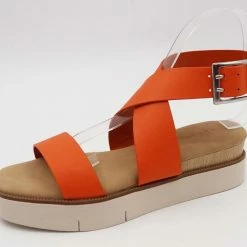 JP CYCLE04 - ORANGE WHAT'S NEW