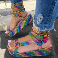 SPRINGLAND MIA RHINE - RAINBOW WHAT'S NEW