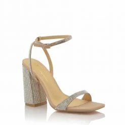 OLI J WHAT'S NEW ZAYLEE - CAMEL