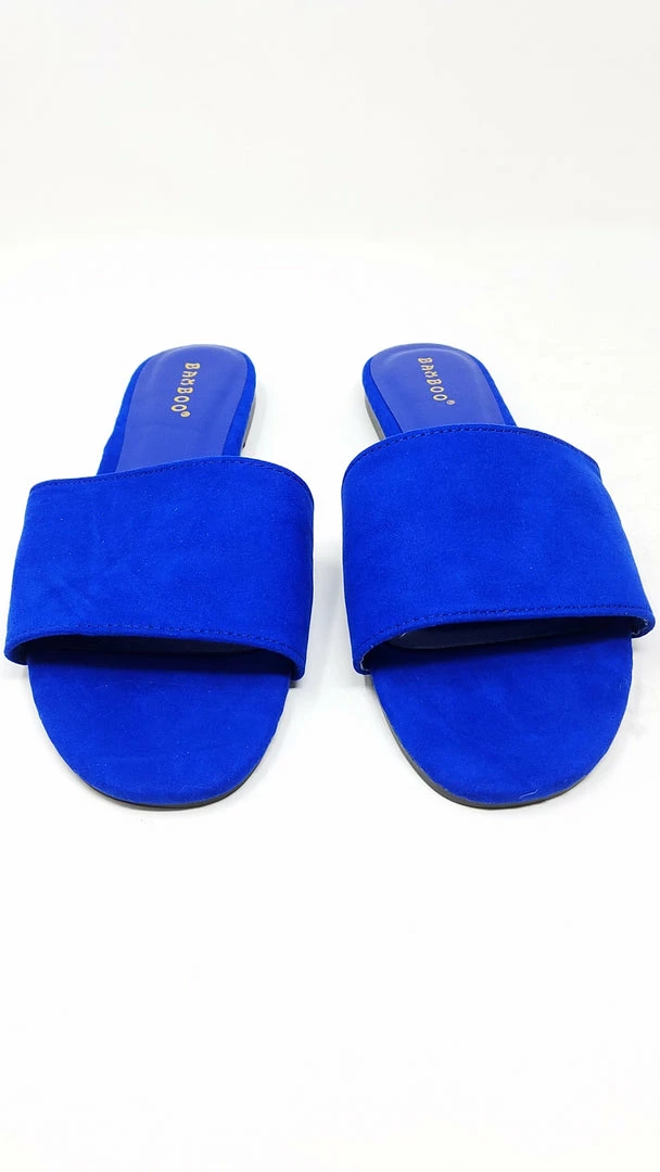 JP ZEST16 - BLUE WHAT'S NEW