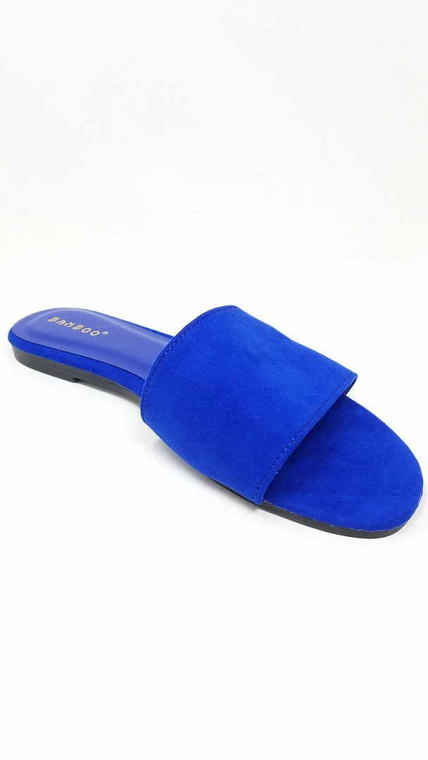 JP ZEST16 - BLUE WHAT'S NEW