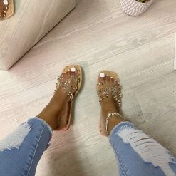 CAPE ROBBIN AMISHA - CLEAR WHAT'S NEW