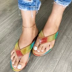 FOREVER FANNIE101 - RAINBOW