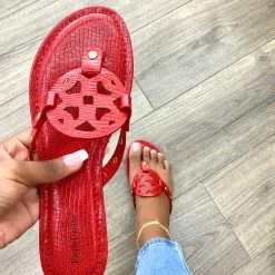 OLEM LIMIT34 - RED CROCO WHAT'S NEW