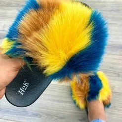 H2K WHAT'S NEW LORA2 - MULTI4