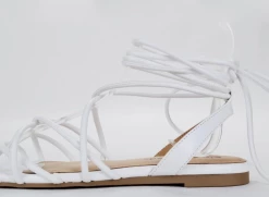 FORTUNE NEEDLE - WHITE WHAT'S NEW