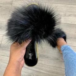 H2K WHAT'S NEW NOVA - BLACK