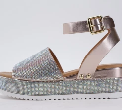 FORTUNE SHELL - PENNY WHAT'S NEW